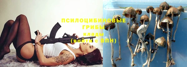 винт Надым