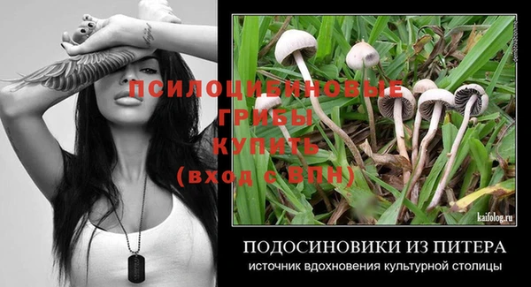 spice Фурманов