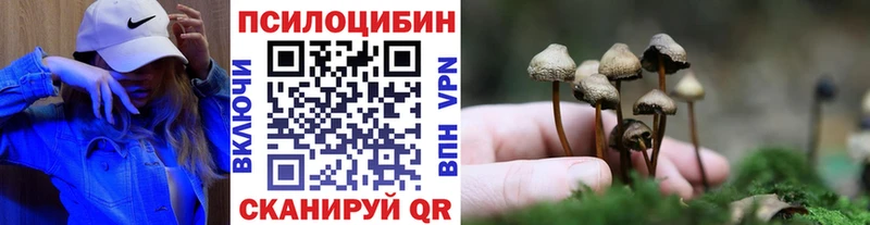 Галлюциногенные грибы Psilocybine cubensis  Катав-Ивановск 